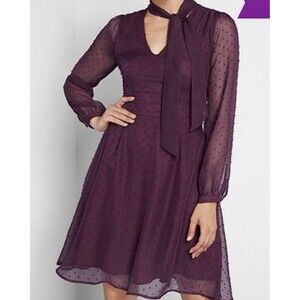 Modcloth Apogee of Elegance Swiss Dot Chiffon Burgundy Fit Flare Dress 6 AQ3513f